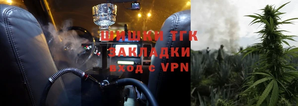 сатива Зеленокумск